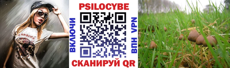 Псилоцибиновые грибы мухоморы  Купить  Краснокамск 